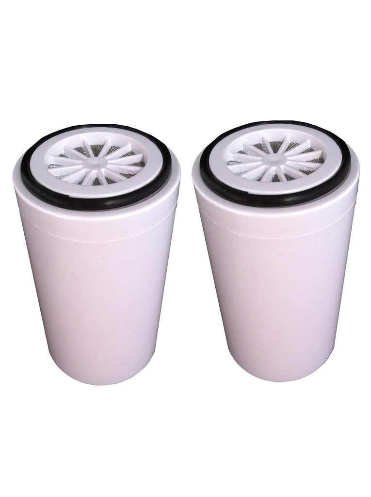 Replacement Shower Filter Cartridge 2 pack (1 Years Supply) - Water Filter Men