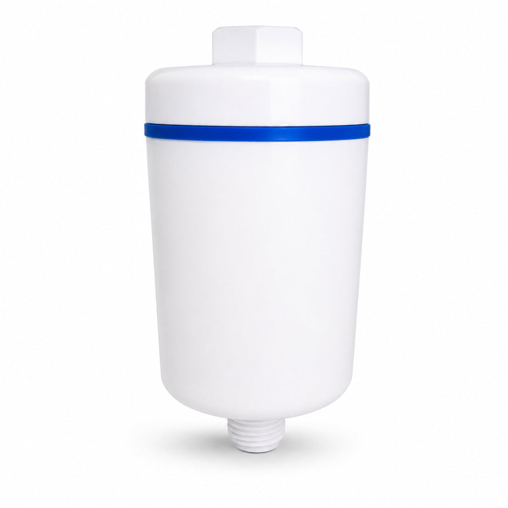 Inline Shower Water Filter (BS1, White)