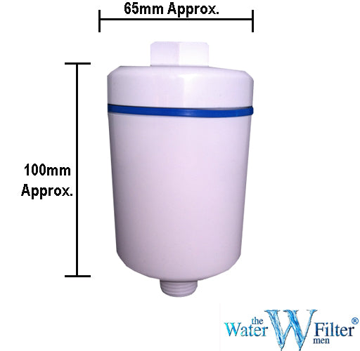 Inline Shower Water Filter White - Water Filter Men